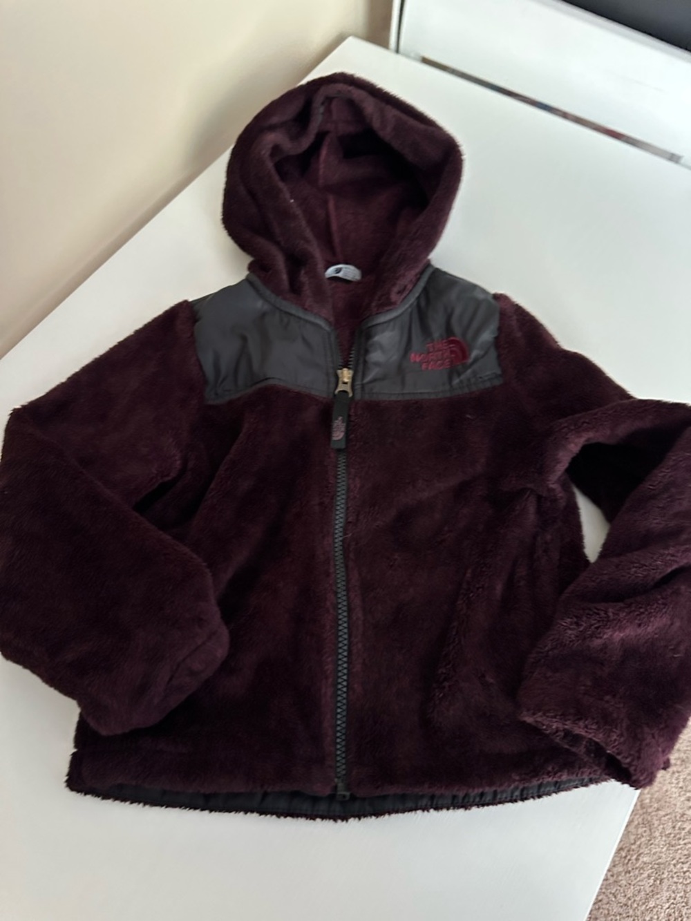 The North Face Deep Burgundy Plush Hooded Jacket